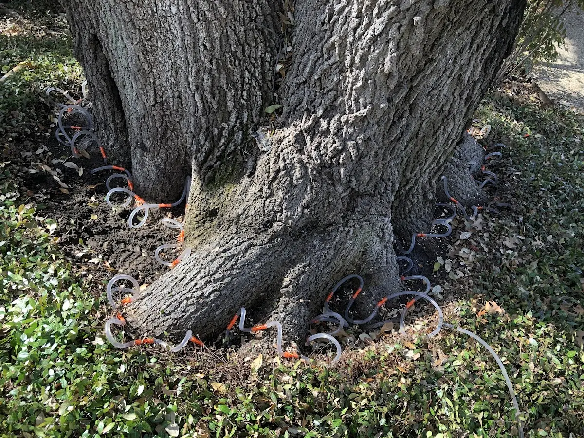 Detailed Shrub and Hedge Trimming job site in Exline